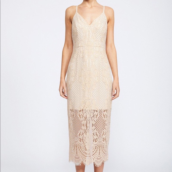 shona joy Dresses & Skirts - Shona Joy Lace Cocktail Midi Dress Nude